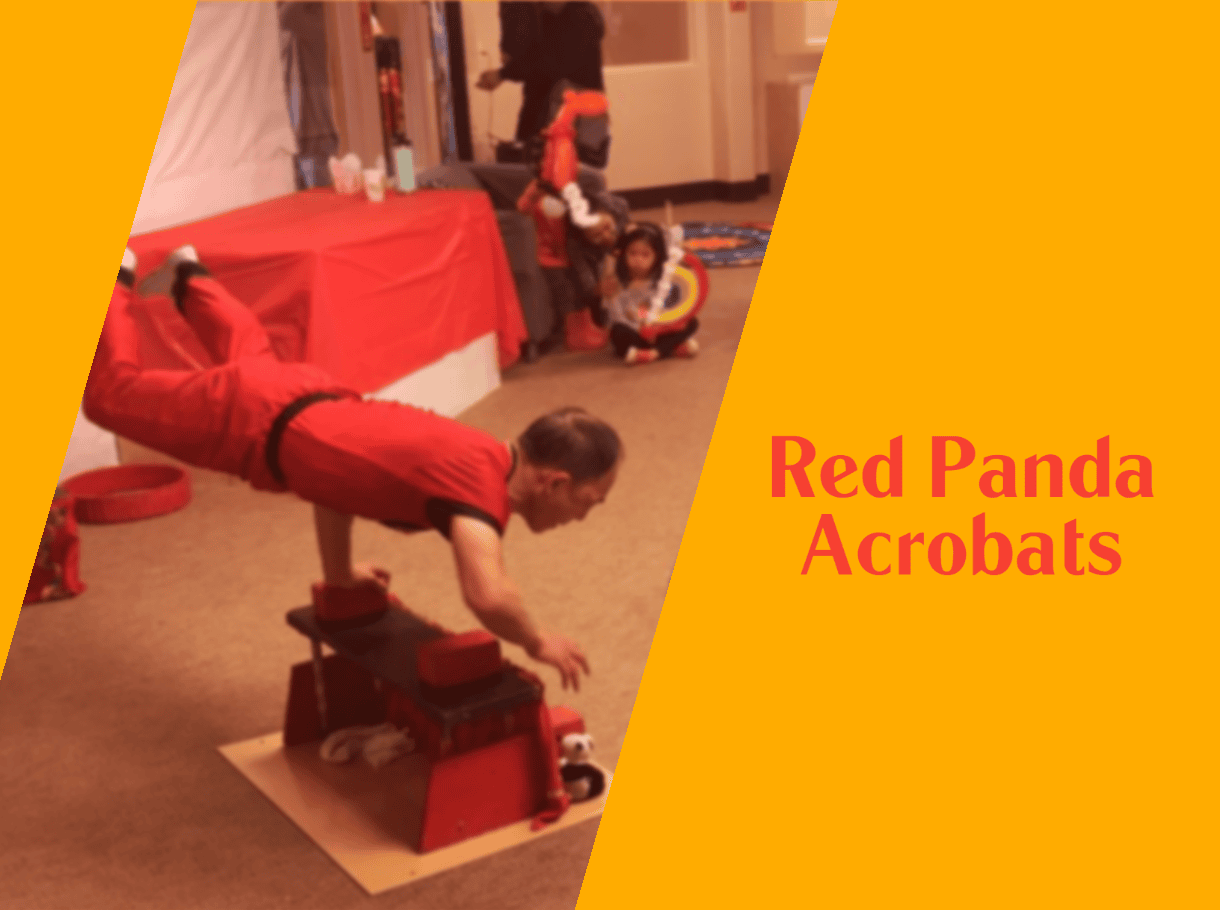 red panda acrobats performance