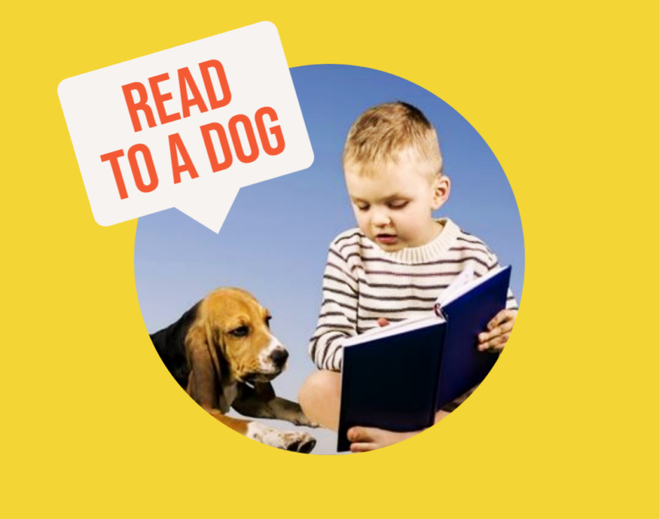 read to a dog